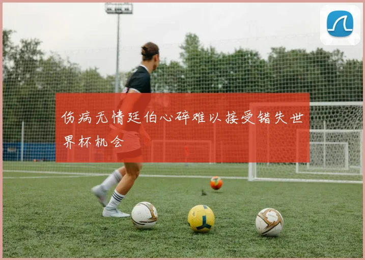 伤病无情廷伯心碎难以接受错失世界杯机会