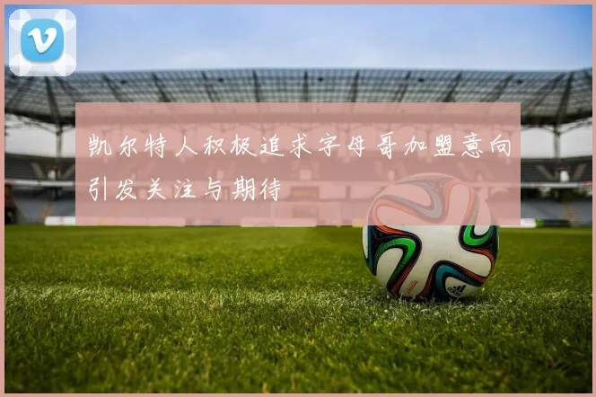 凯尔特人积极追求字母哥加盟意向引发关注与期待