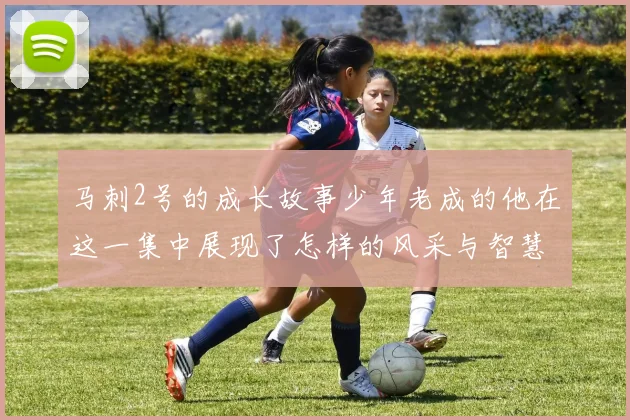 马刺2号的成长故事少年老成的他在这一集中展现了怎样的风采与智慧